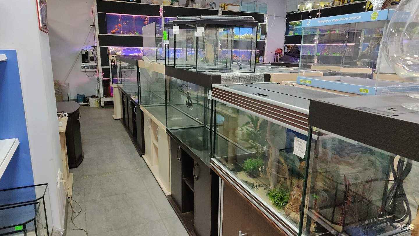 Отзывы на компанию Коралловый риф в г. Липецк c фото