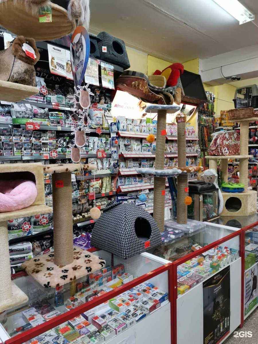 Отзывы на компанию Зоомагазин в Иванове c фото