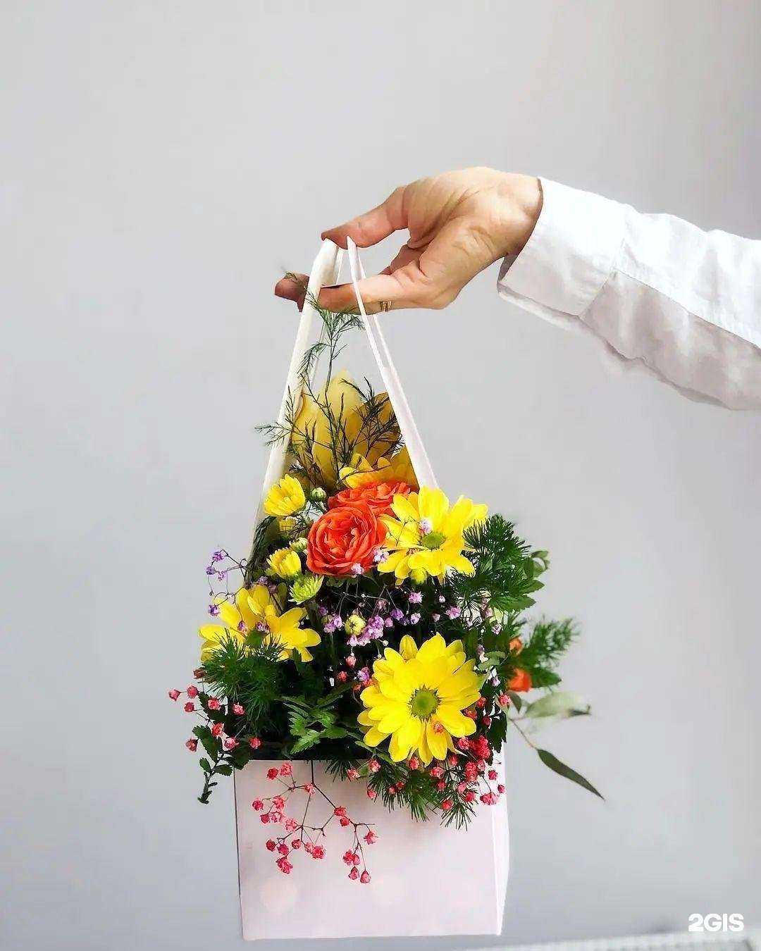 Отзывы на компанию Кактус в г. Волгоград c фото