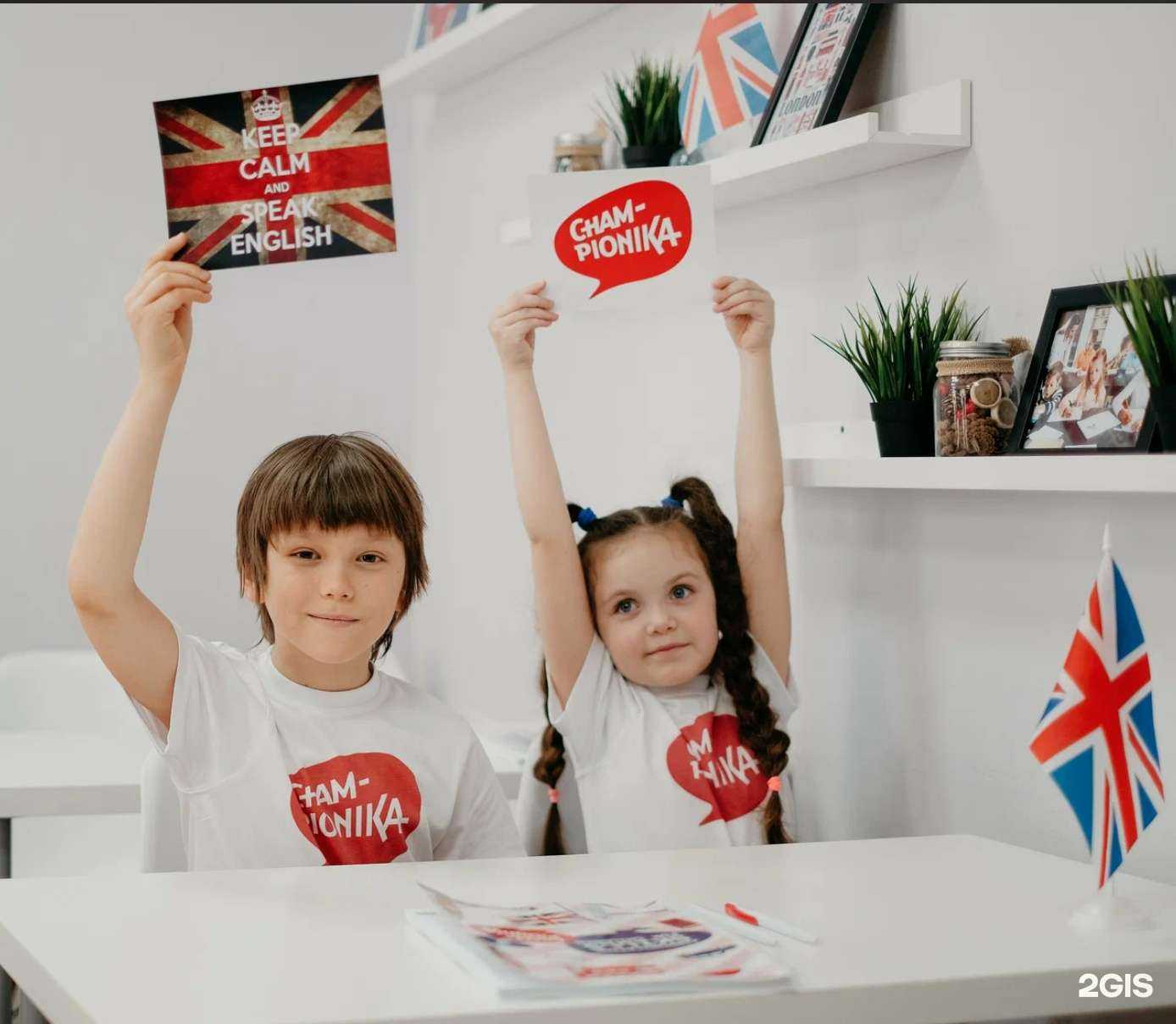 Отзывы на компанию Чемпионика в Краснодаре c фото