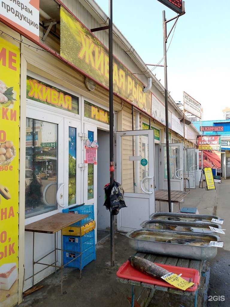Отзывы на компанию Магазин по продаже рыбы в Воронеже c фото