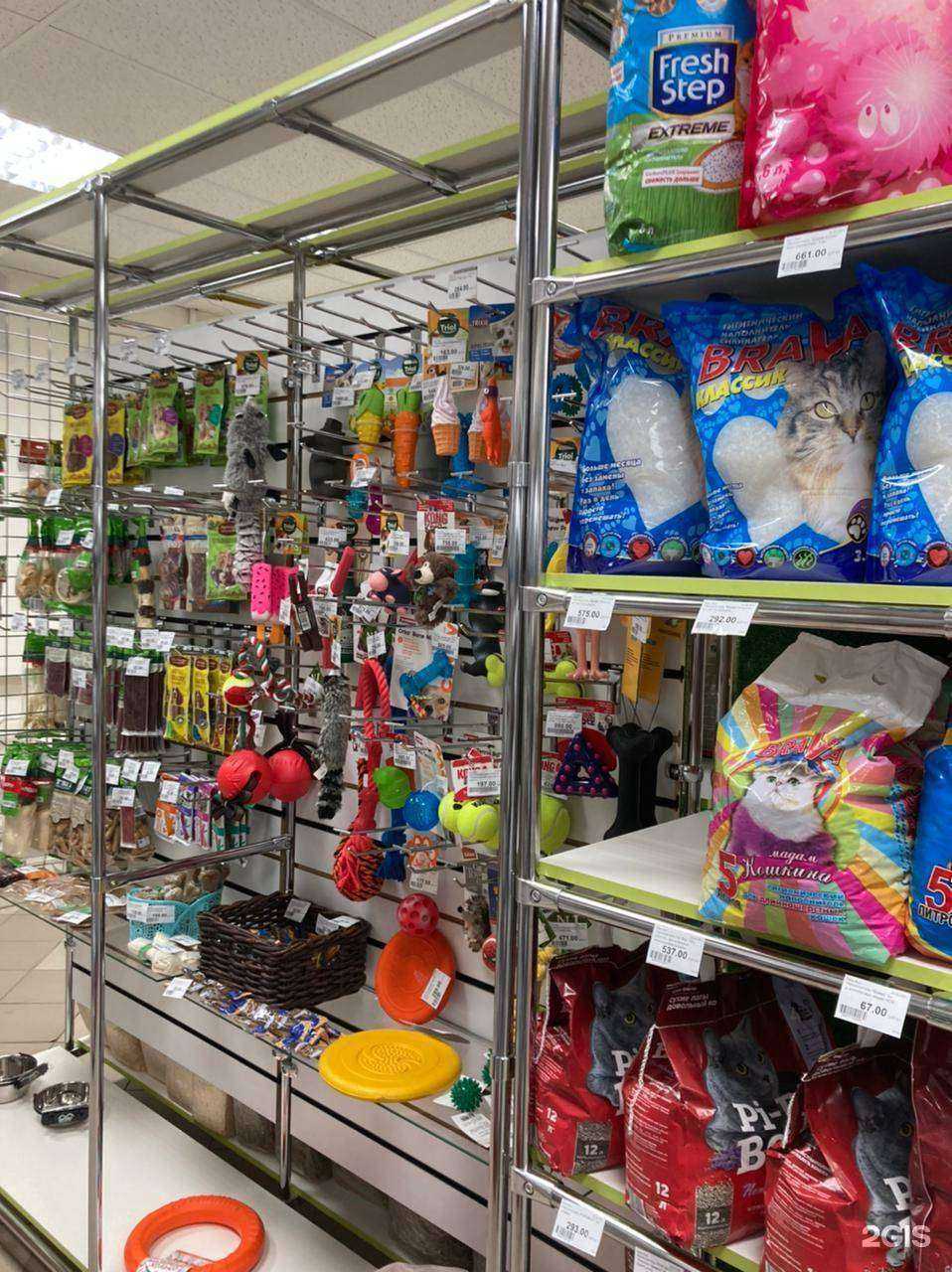 Отзывы на компанию Лапы в г. Нижний Тагил c фото