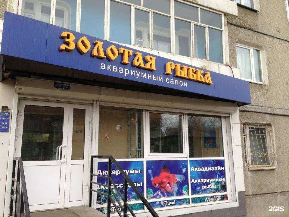 Отзывы на компанию Золотая рыбка в Иркутске c фото