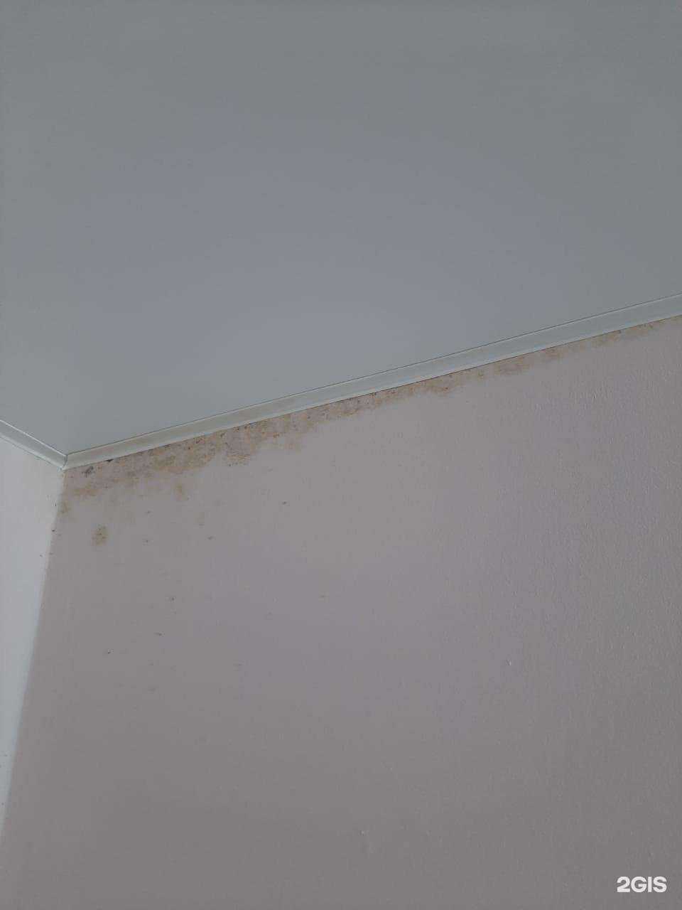 Отзывы на компанию СтройРегионСервис в Бердске c фото