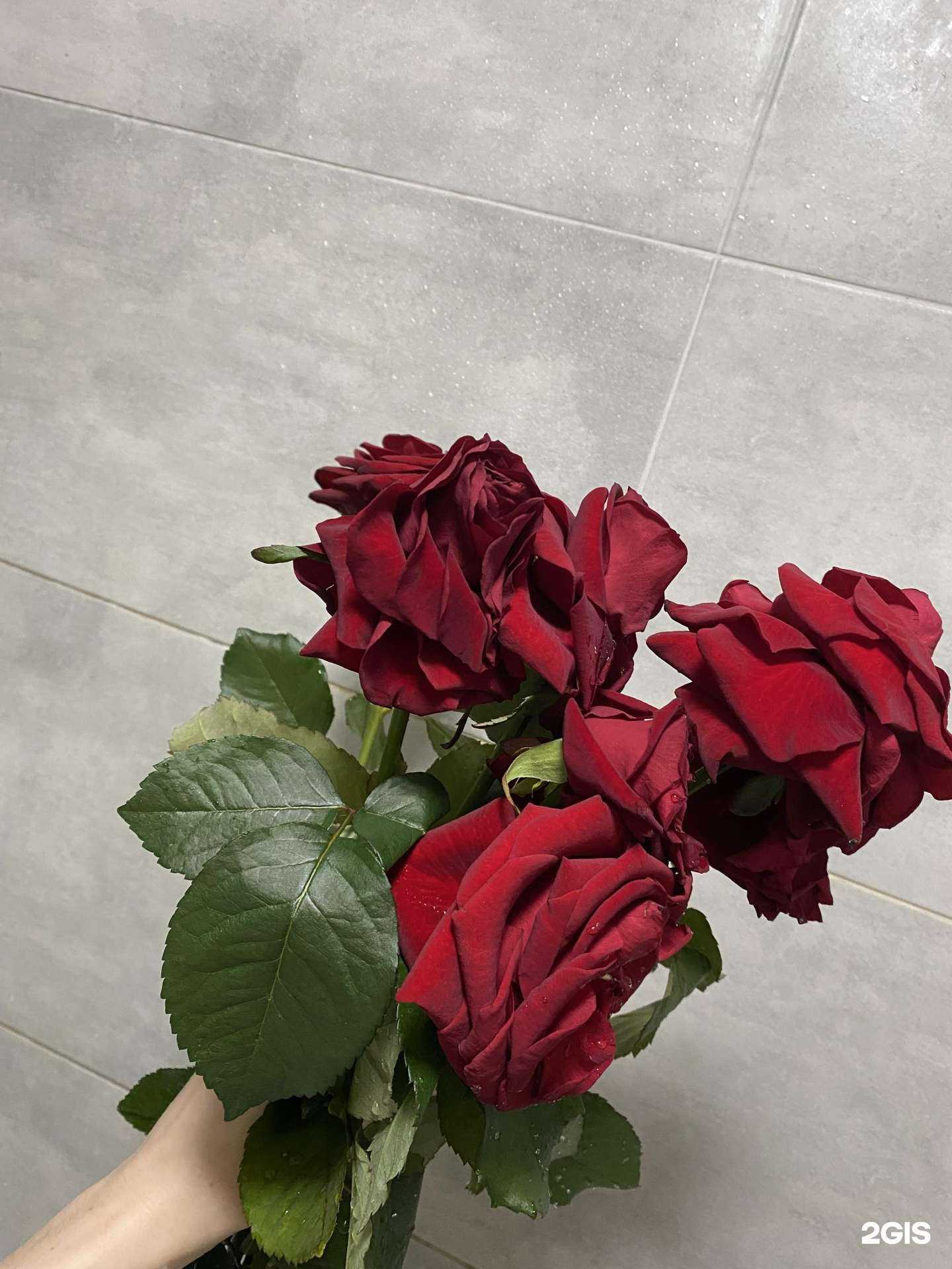 Отзывы на компанию Магазин цветов и сувениров в г. Екатеринбург c фото