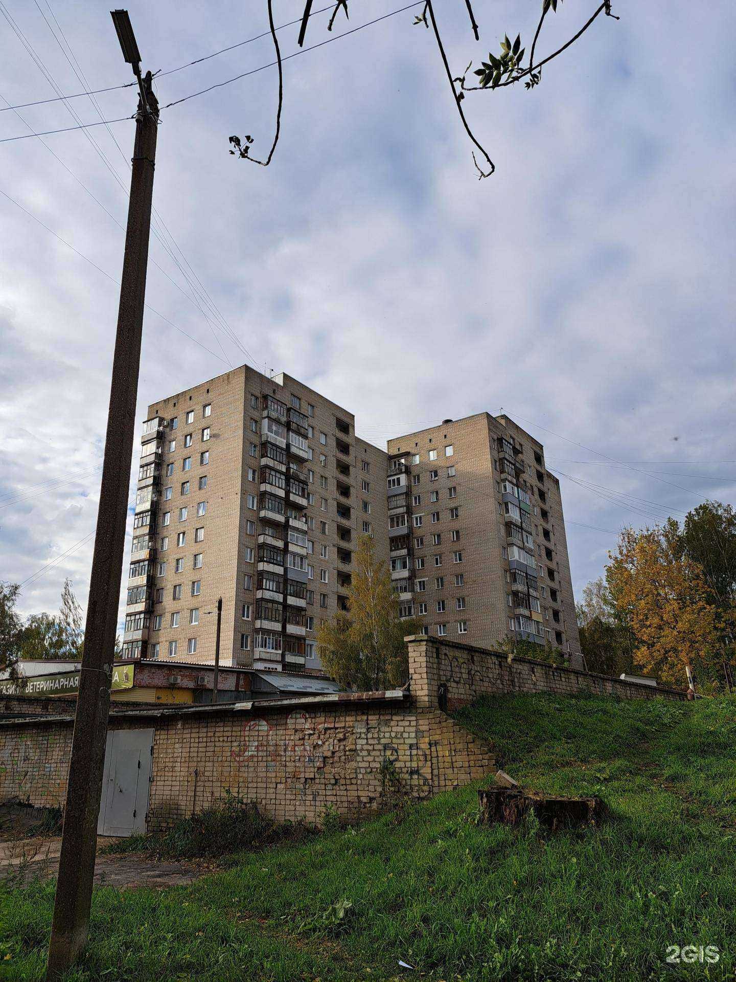 Отзывы на компанию Ковчег в Ярославле c фото - фотография 2 из 2