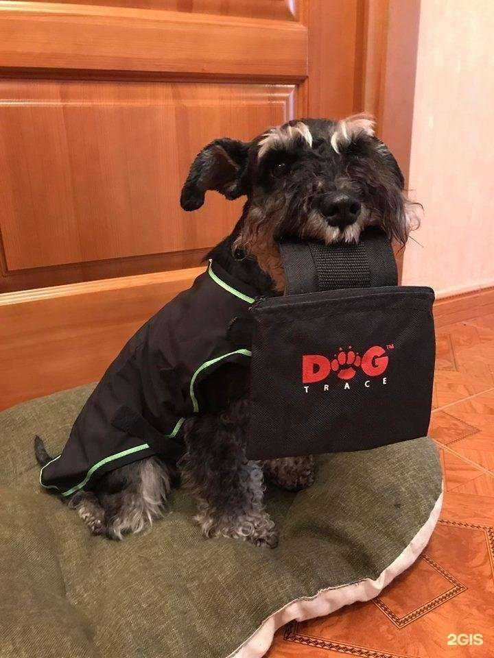 Отзывы на компанию Р-Трейнинг в г. Коммунарка c фото