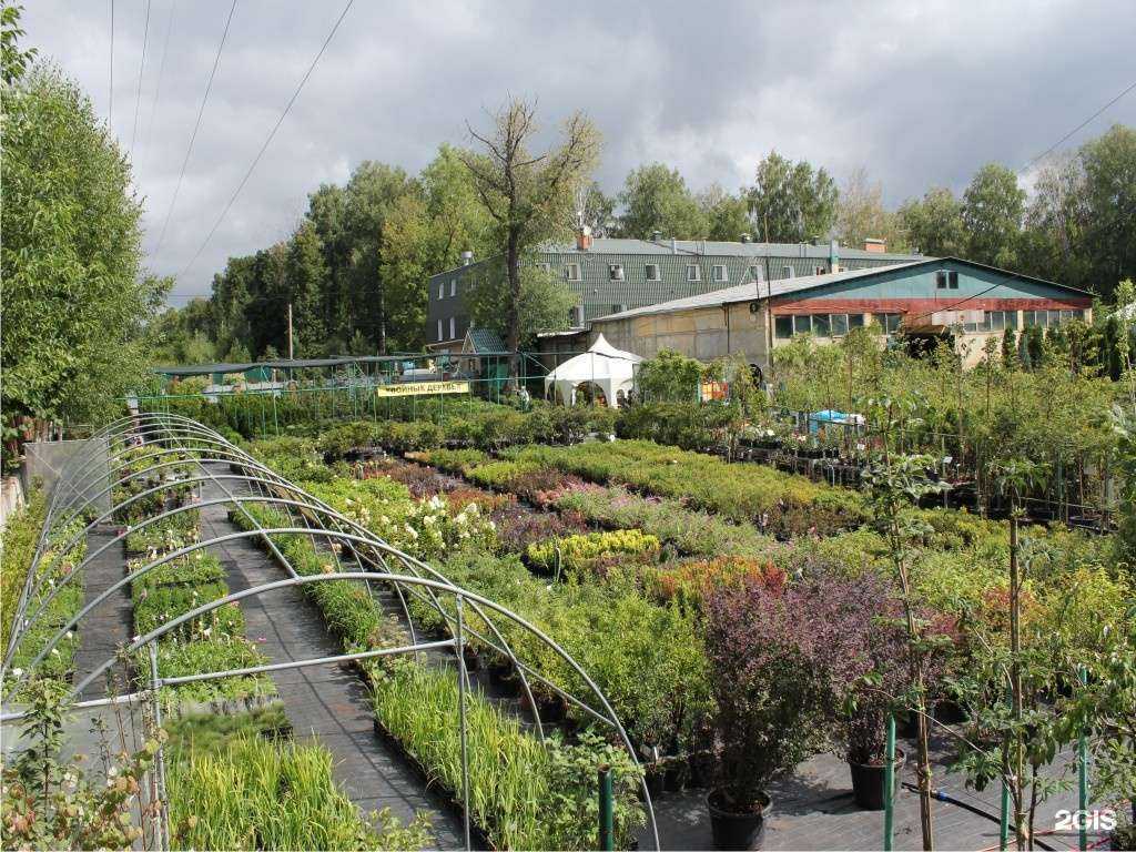 Отзывы на компанию Садовый центр Веры Глуховой в г. Самара c фото