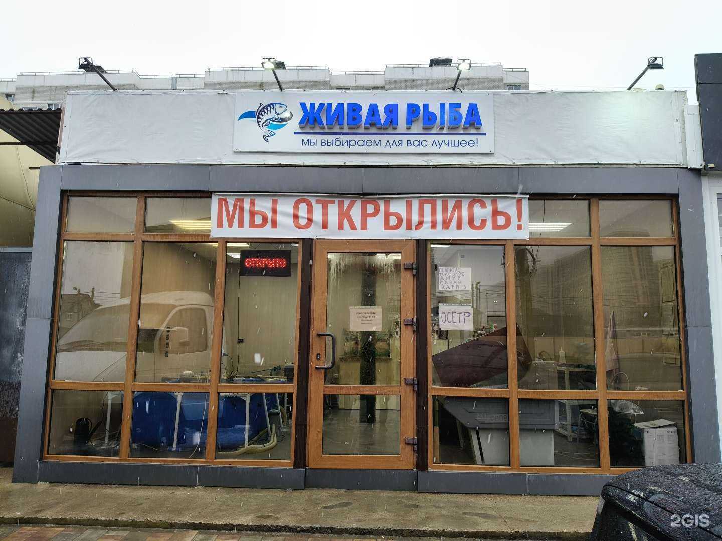 Отзывы на компанию Живая рыба в Краснодаре c фото
