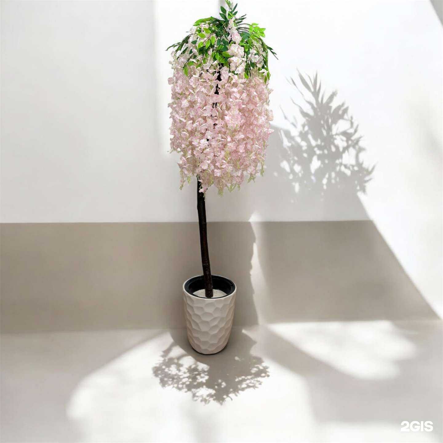 Отзывы на компанию Эко-Арт Деревья в Челябинске c фото