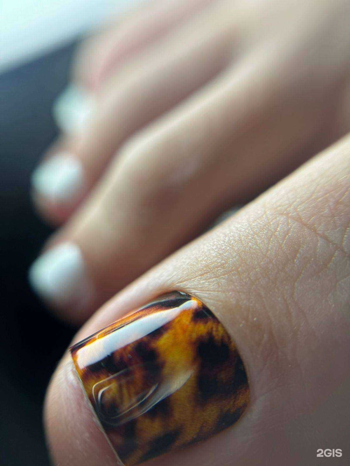 Отзывы на компанию Kaline в г. Кемерово c фото