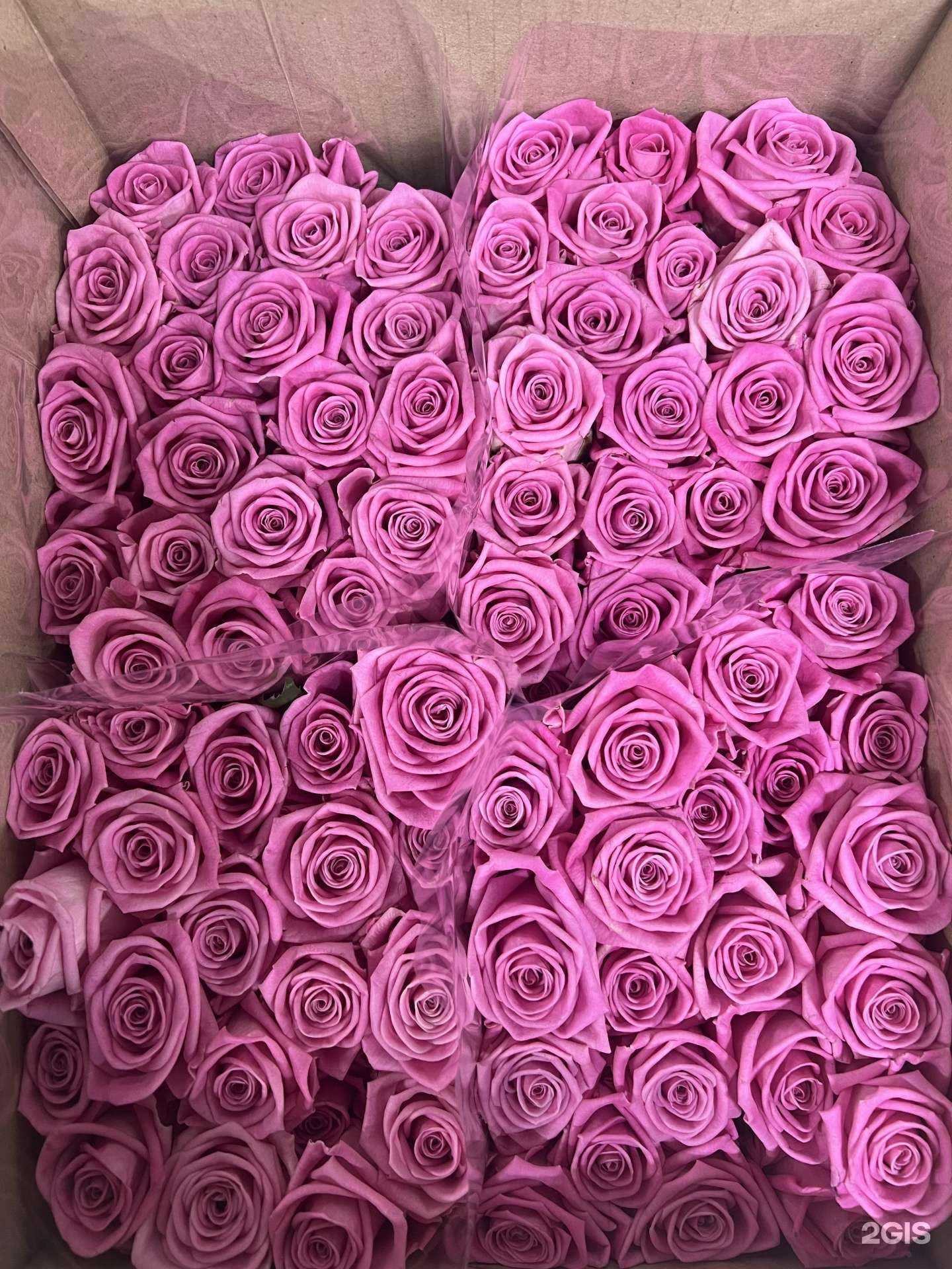 Отзывы на компанию Iris flowers в Казани c фото