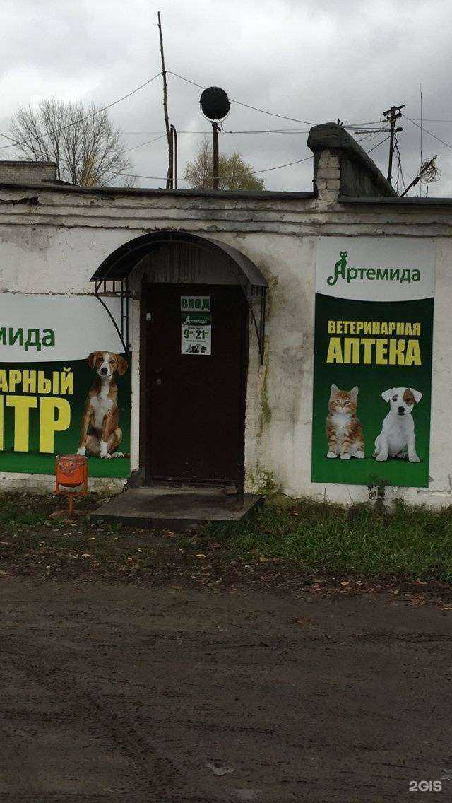 Отзывы на компанию Артемида в Нижнем Новгороде c фото