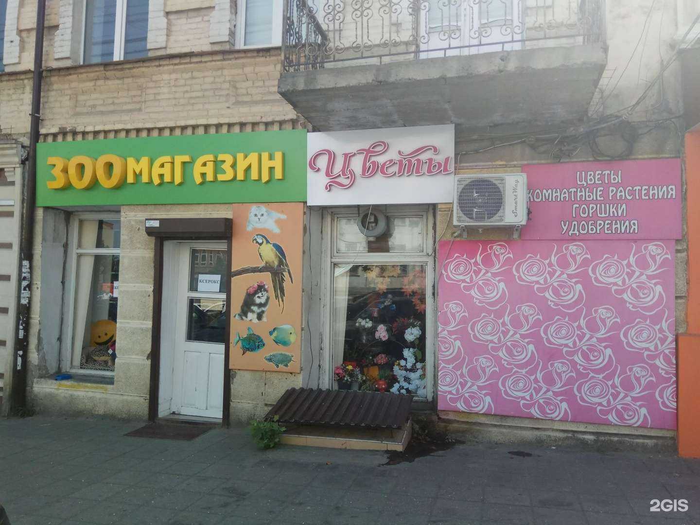 Отзывы на компанию Зоомагазин в г. Махачкала c фото