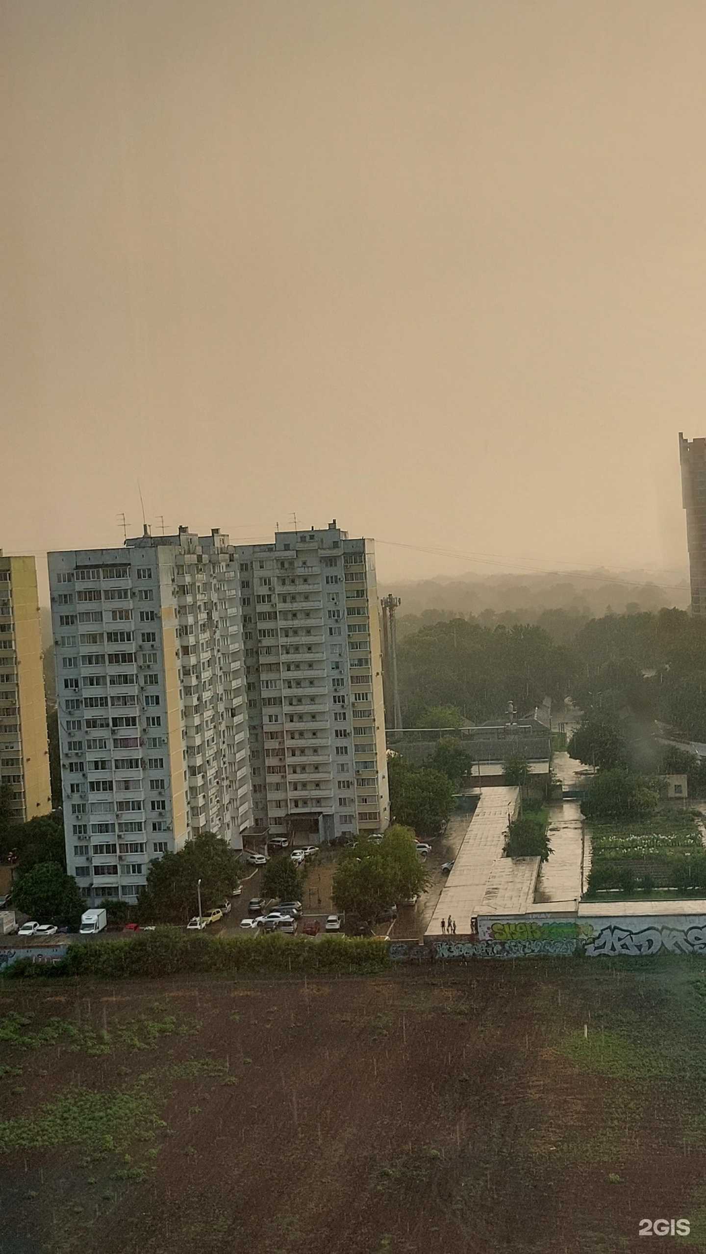 Отзывы на компанию Соцветие в Краснодаре c фото