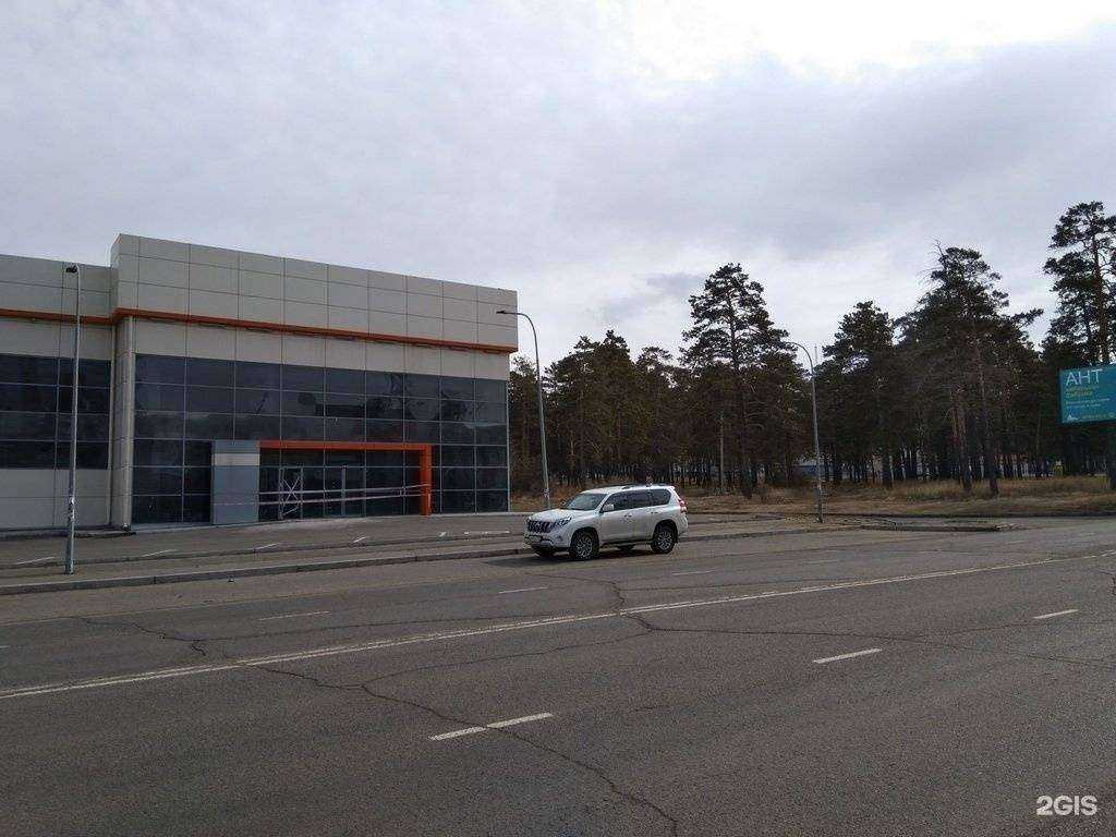 Отзывы на компанию Динозаврия в Чите c фото - фотография 2 из 2