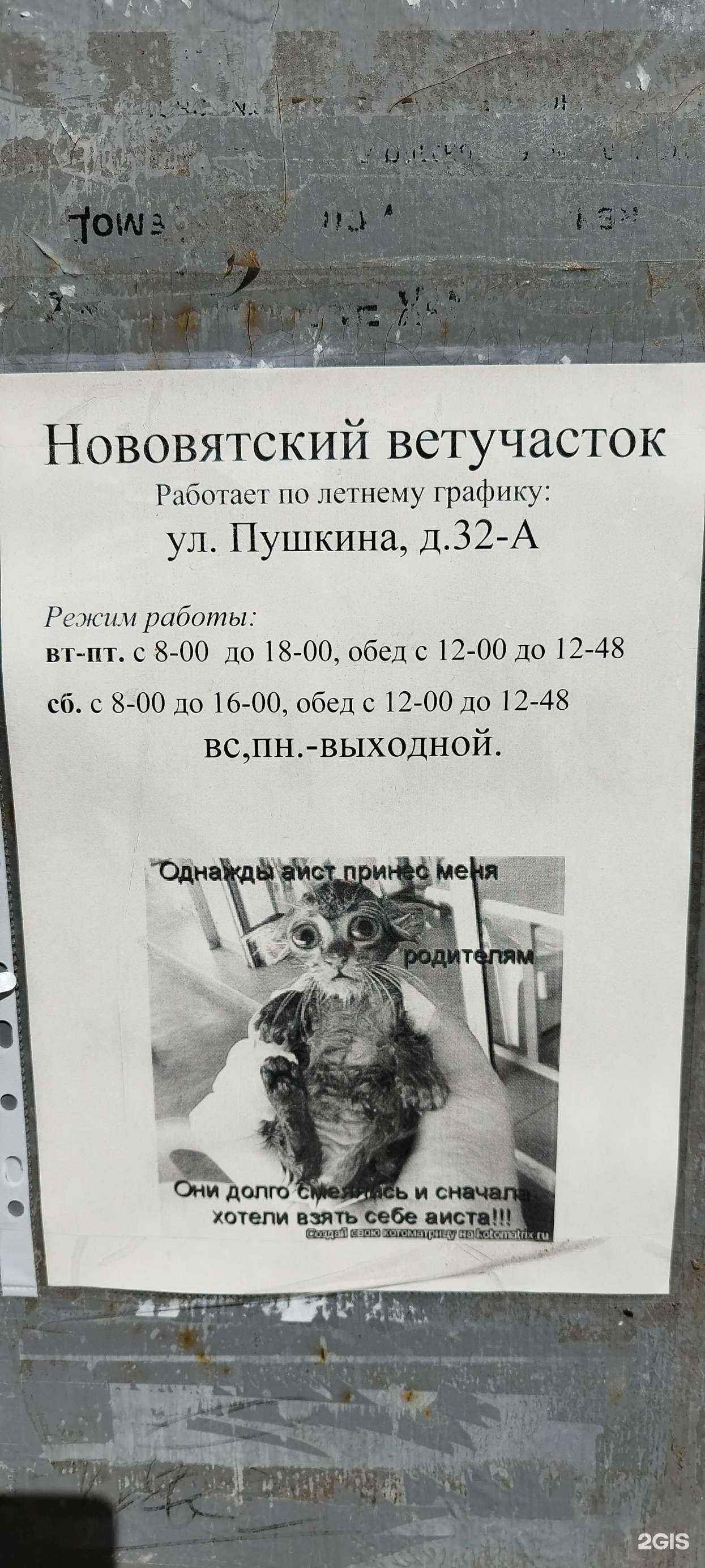 Отзывы на компанию Ветеринарная клиника в г. Киров c фото