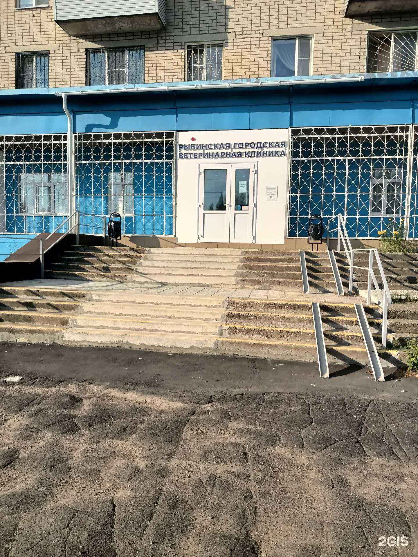 Отзывы на компанию Рыбинская городская ветеринарная клиника в Рыбинске c фото