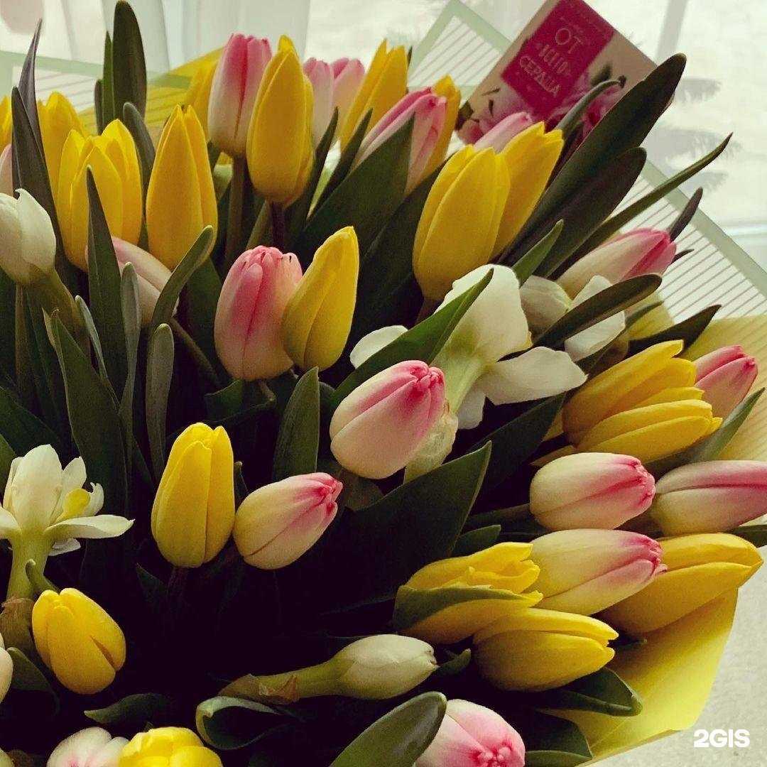 Отзывы на компанию Дивия в г. Клин c фото