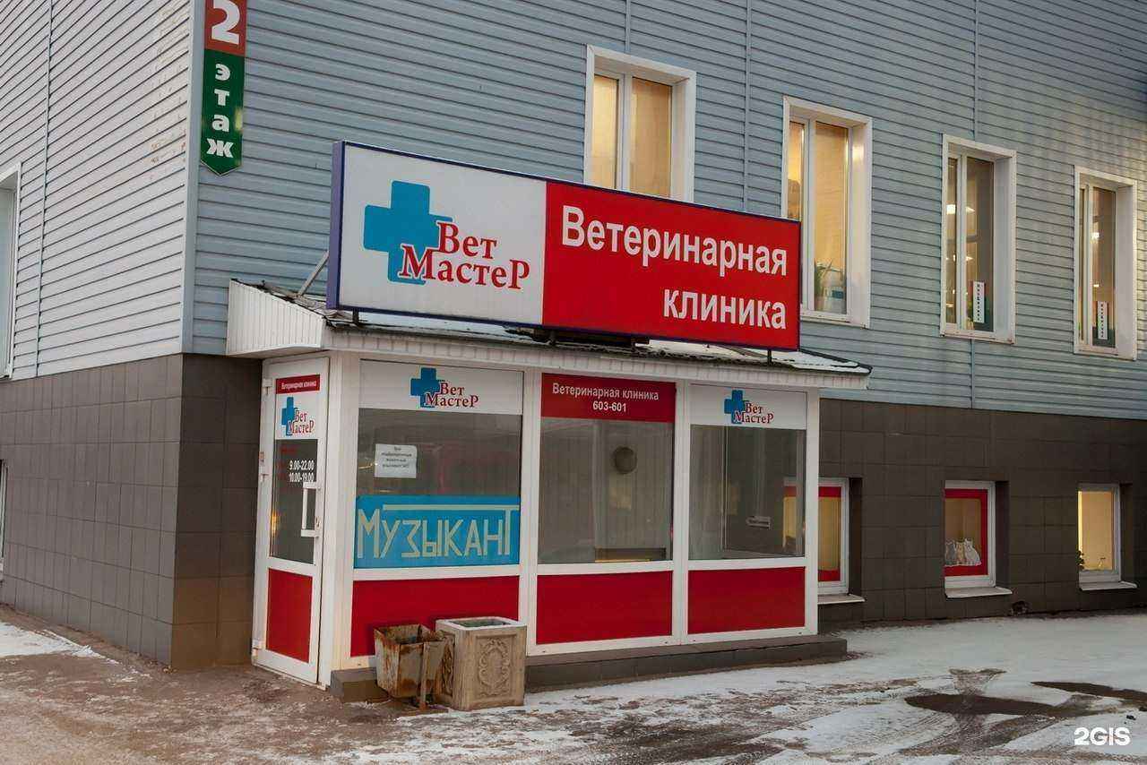 Отзывы на компанию ВетМастер в г. Великий Новгород c фото