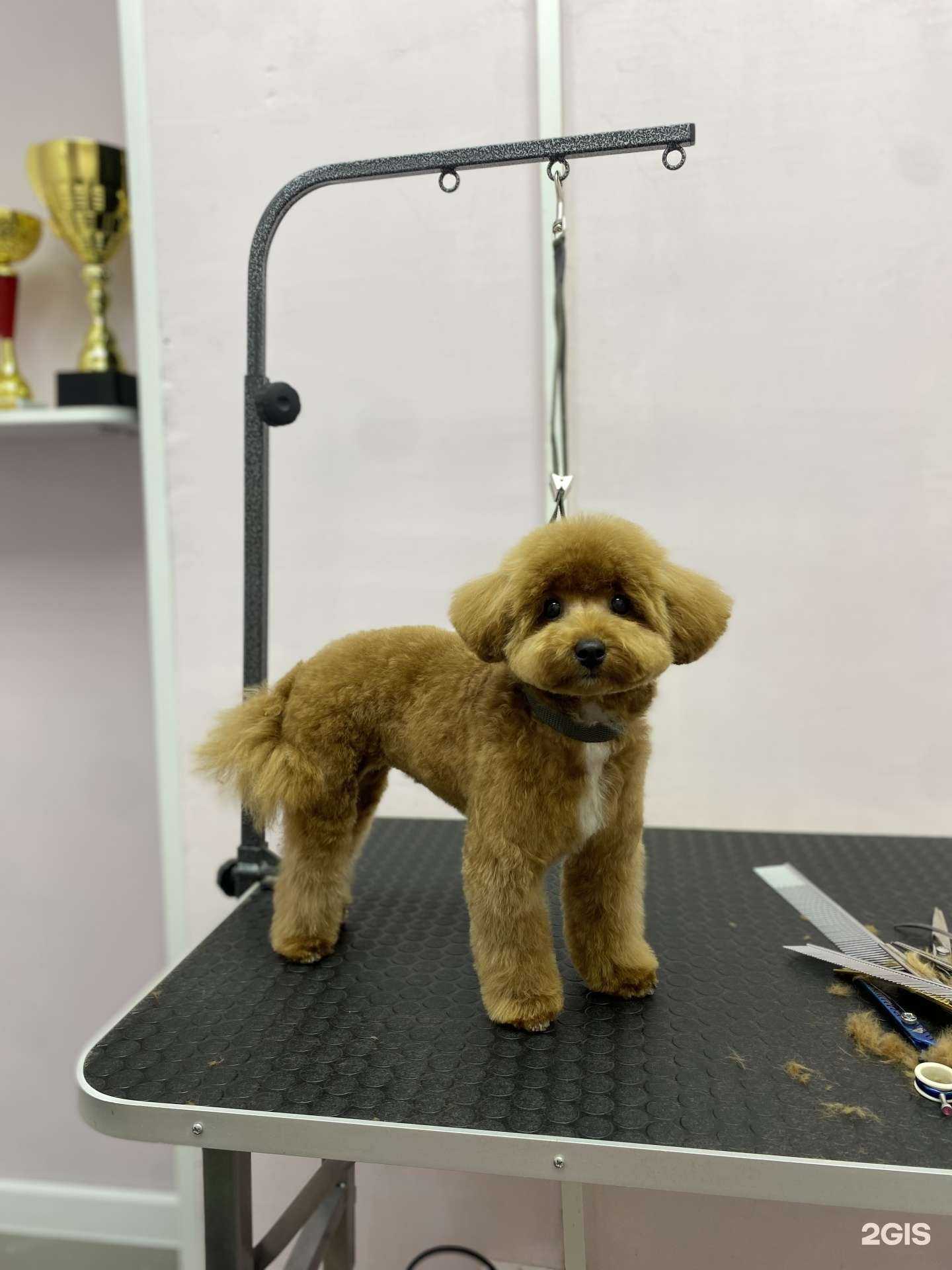 Отзывы на компанию Шерстевиль в Подольске c фото