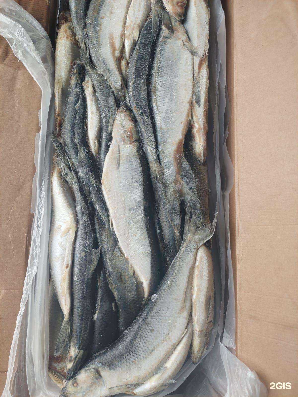 Отзывы на компанию Уха в Самаре c фото