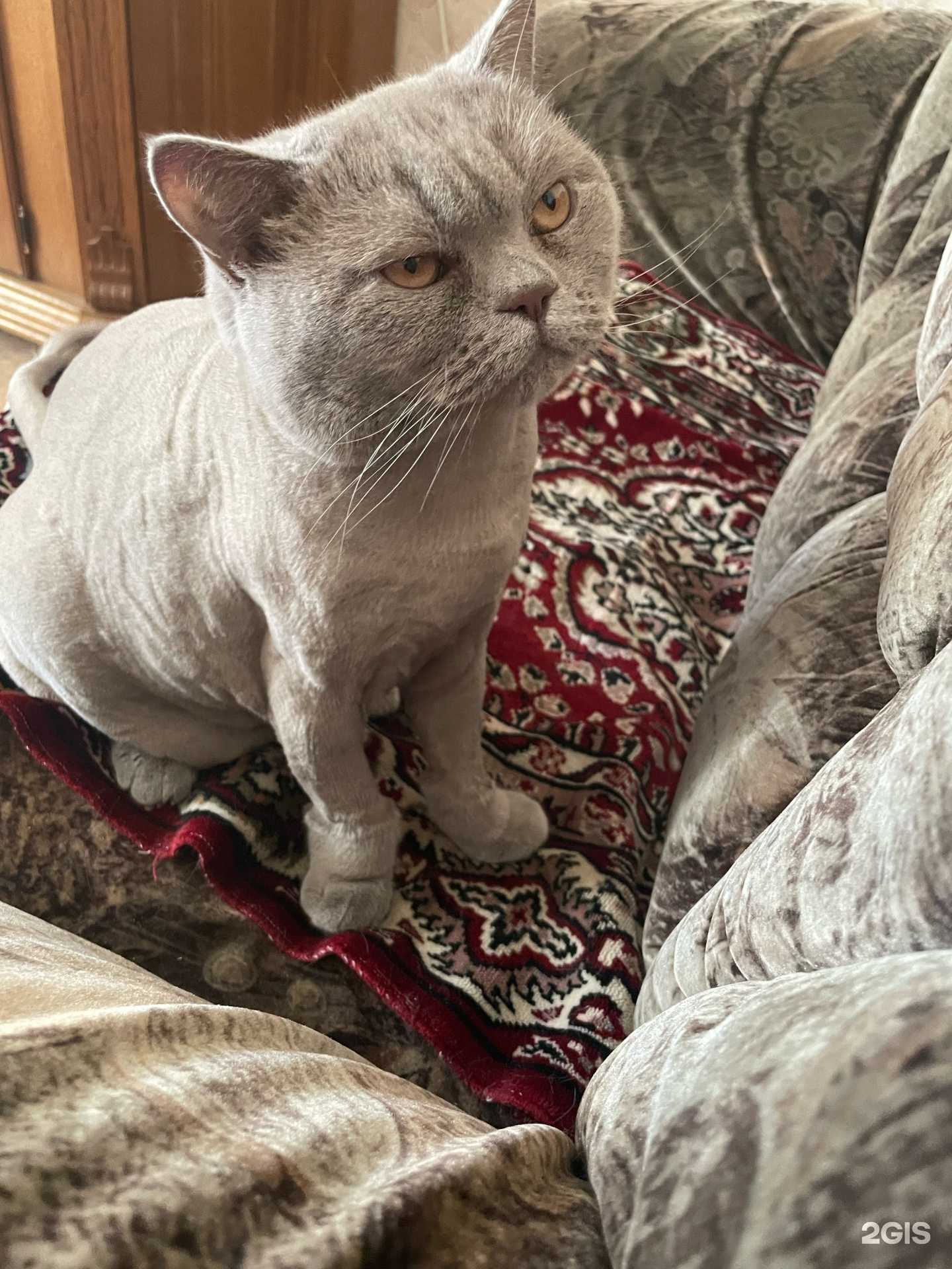 Отзывы на компанию Джессика в Кемерове c фото