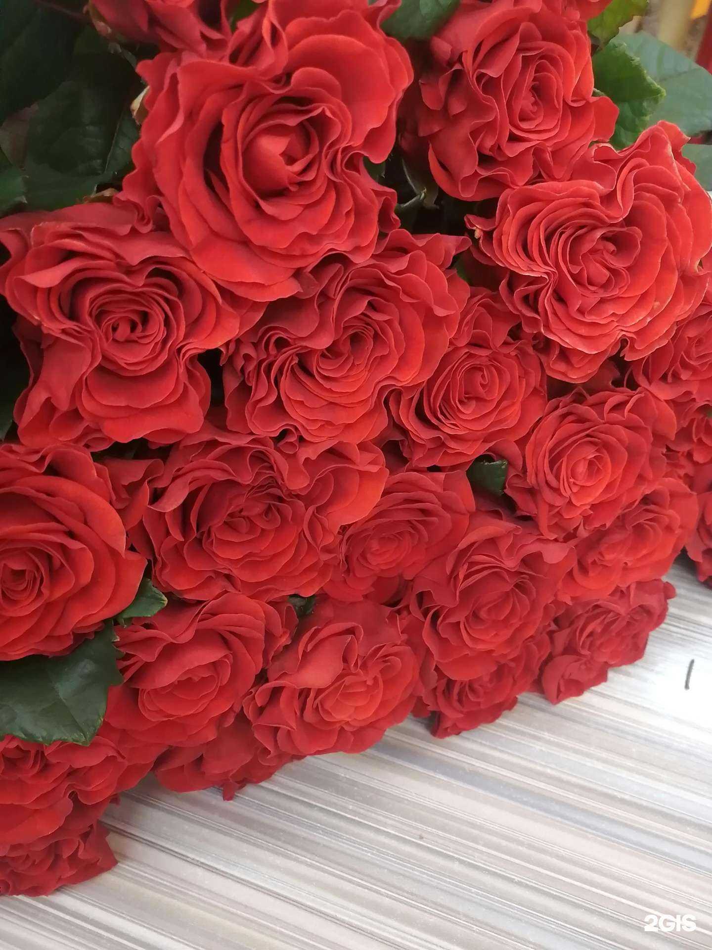 Отзывы на компанию Дари цветы в г. Калтан c фото