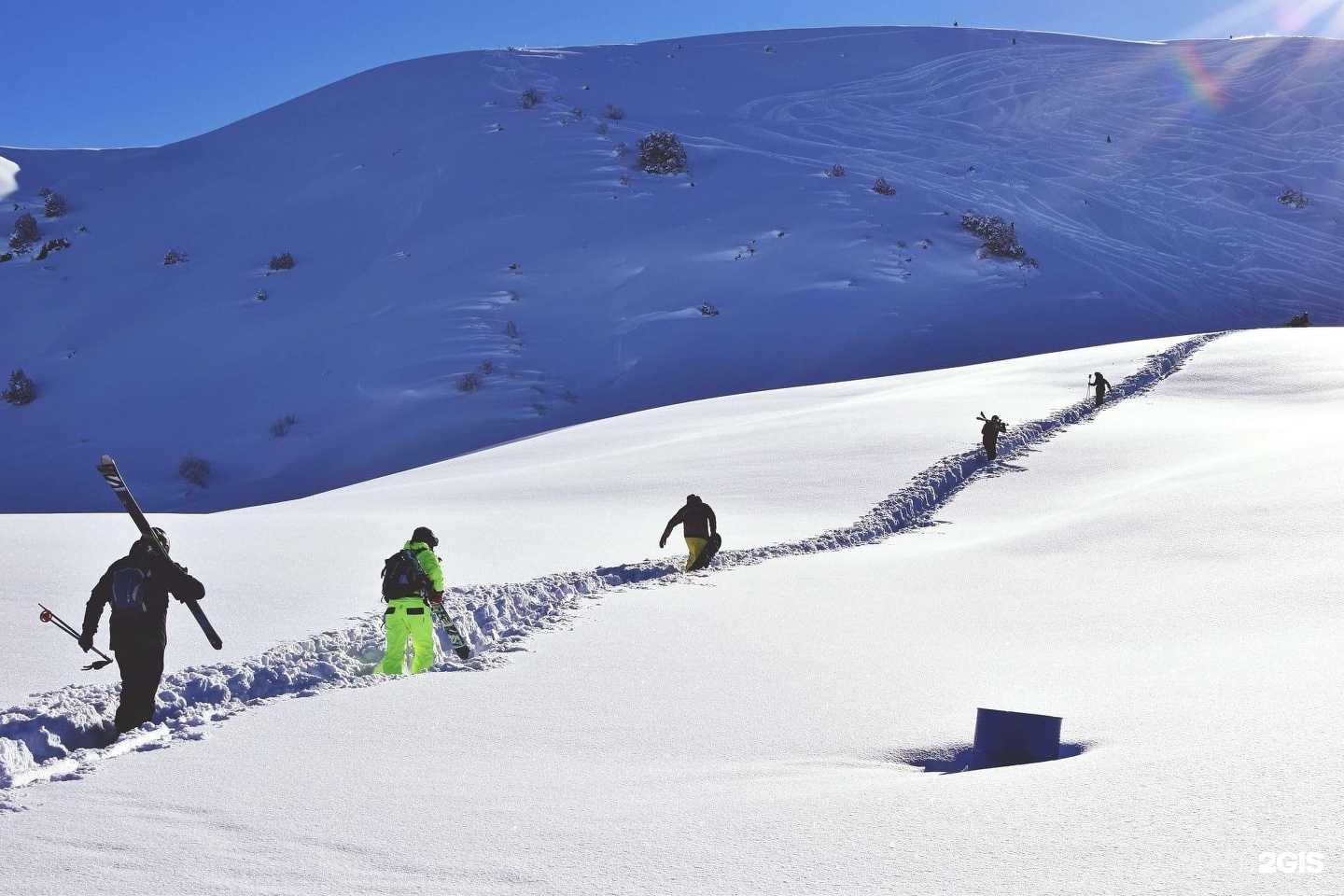 Отзывы на компанию Murano software в Воронеже c фото