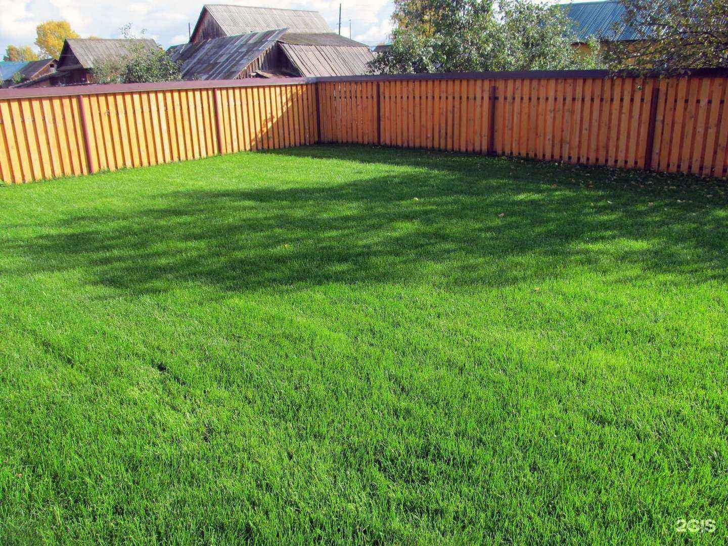 Отзывы на компанию Солнечный Сад в Перми c фото