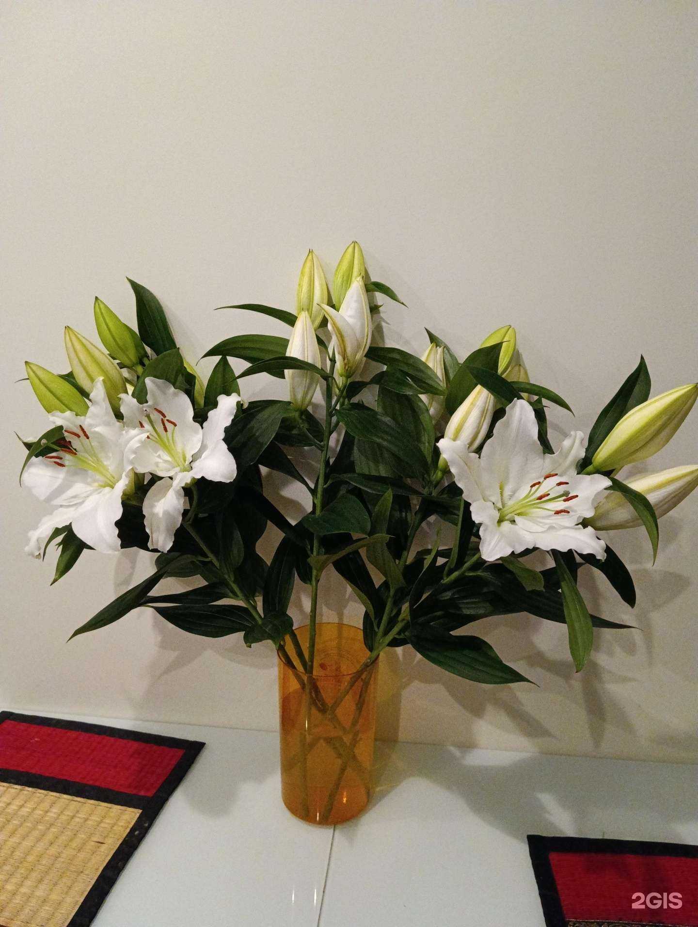 Отзывы на компанию Лара в Вологде c фото