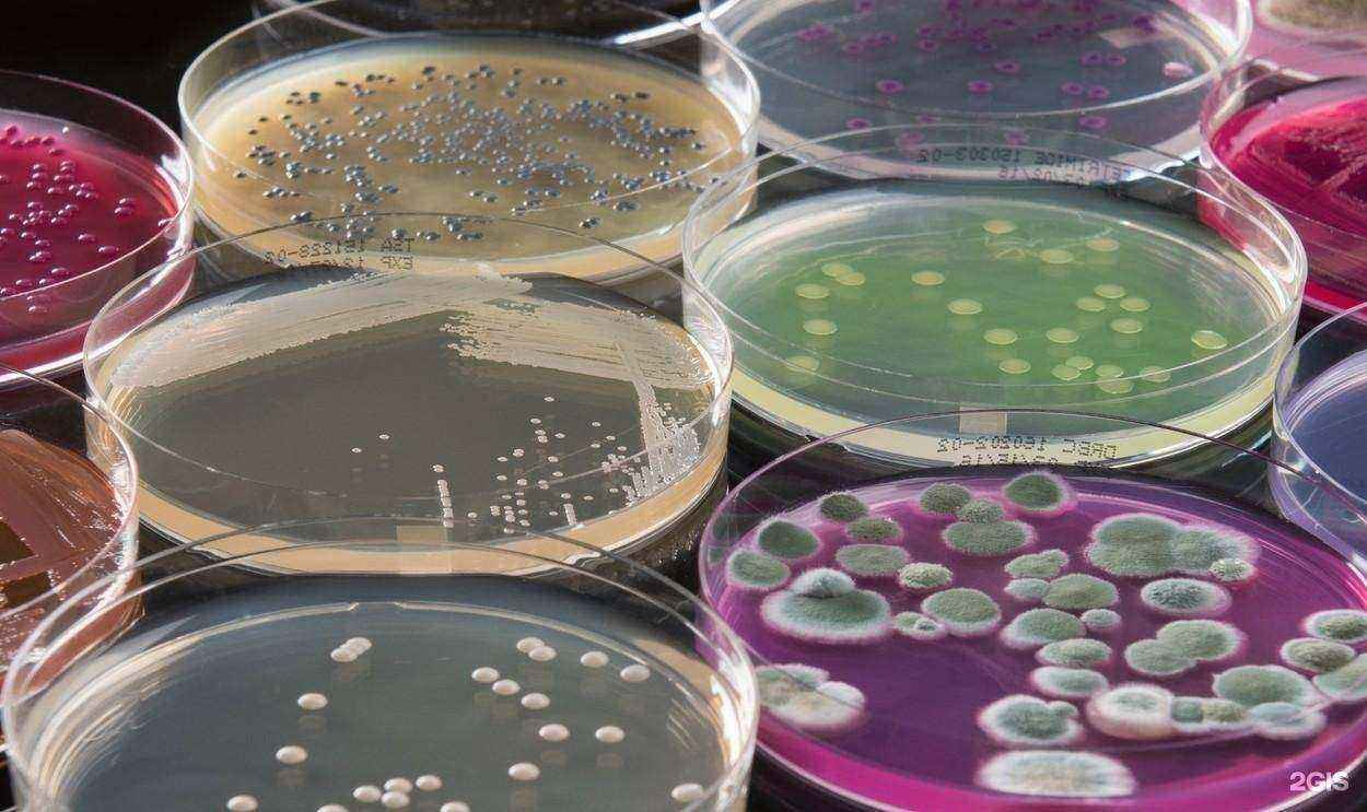 Отзывы на компанию Учебный центр профессиональной подготовки Эфко  в г. Алексеевка c фото