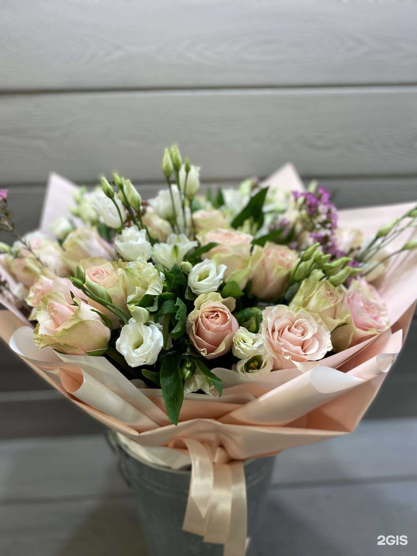 Отзывы на компанию Экзотика в Новосибирске c фото