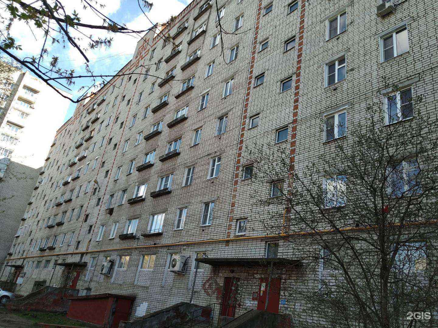 Отзывы на компанию Мир садовода в Рыбинске c фото - фотография 2 из 3