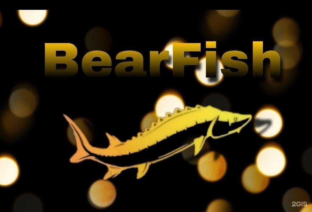 Отзывы на компанию BearFish в Челябинске c фото
