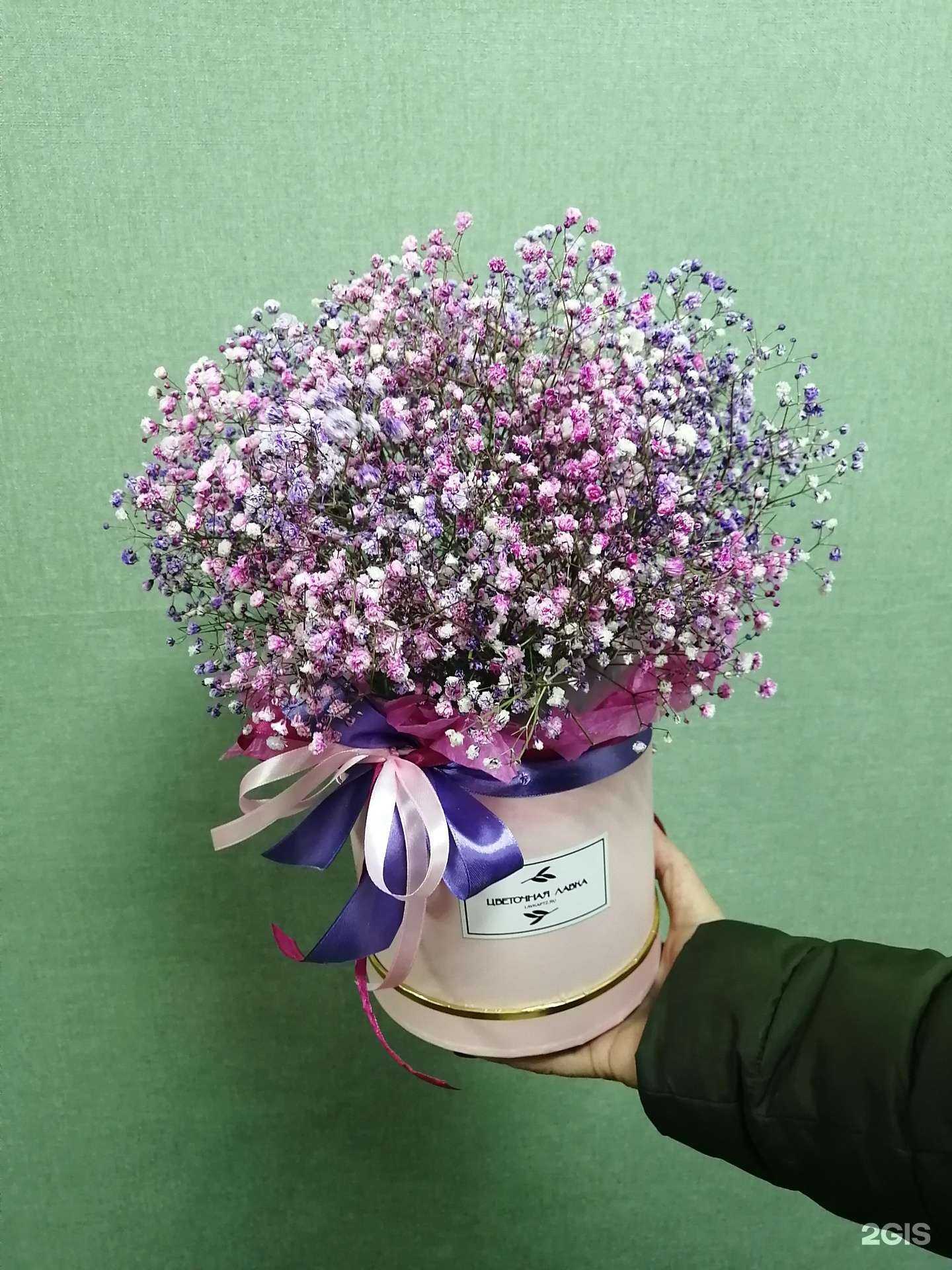 Отзывы на компанию Цветочная лавка в г. Петрозаводск c фото