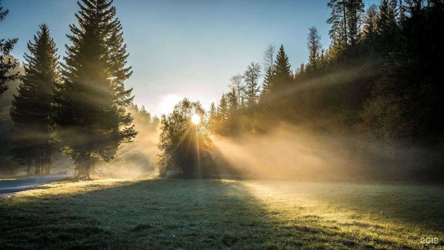 Отзывы на компанию Лаборатория социального развития в г. Орёл c фото