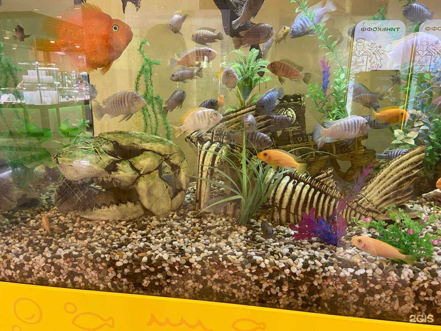 Отзывы на компанию Море желаний в г. Челябинск c фото