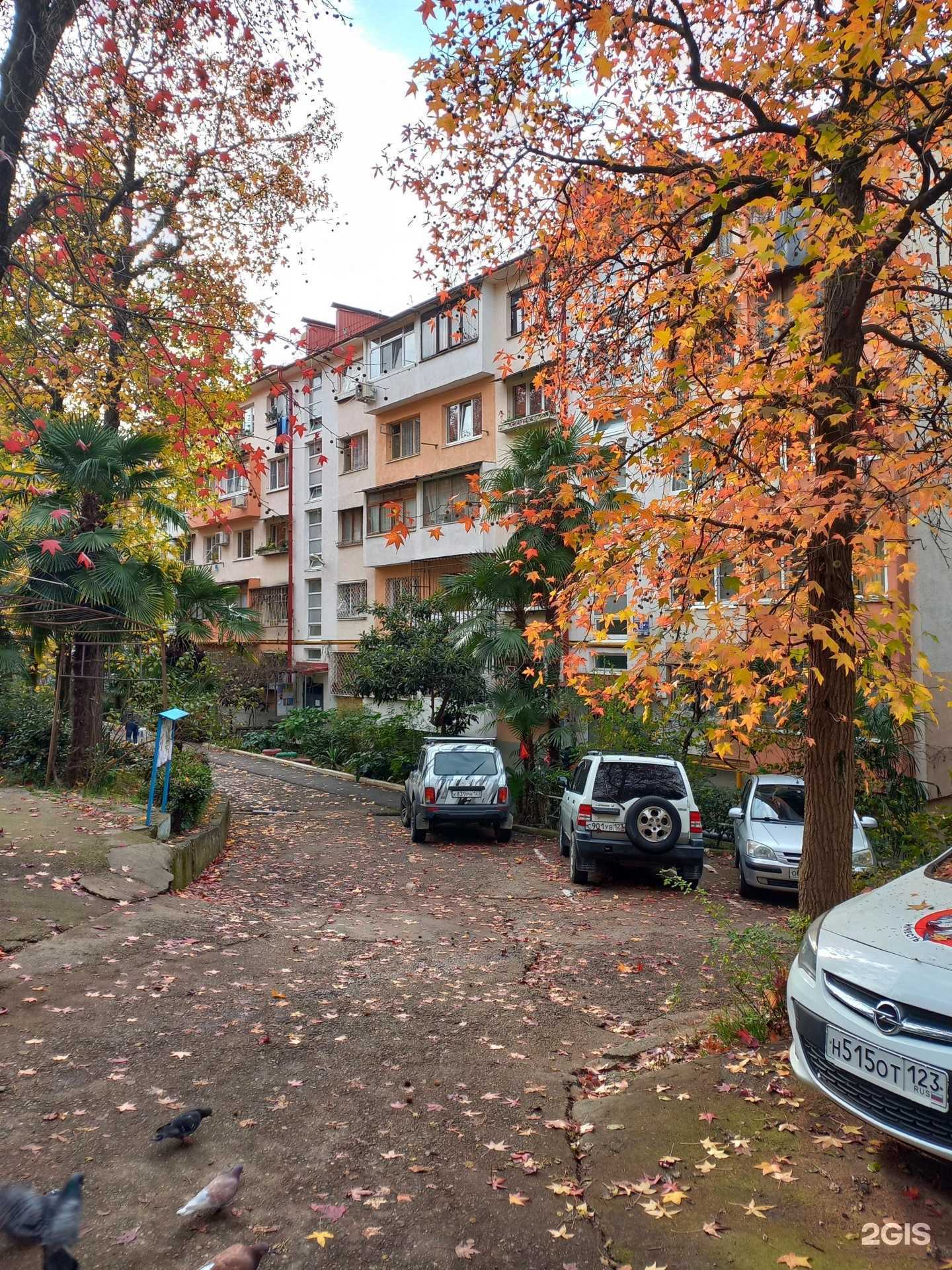 Отзывы на компанию Курортный отдых в Сочи c фото - фотография 2 из 2