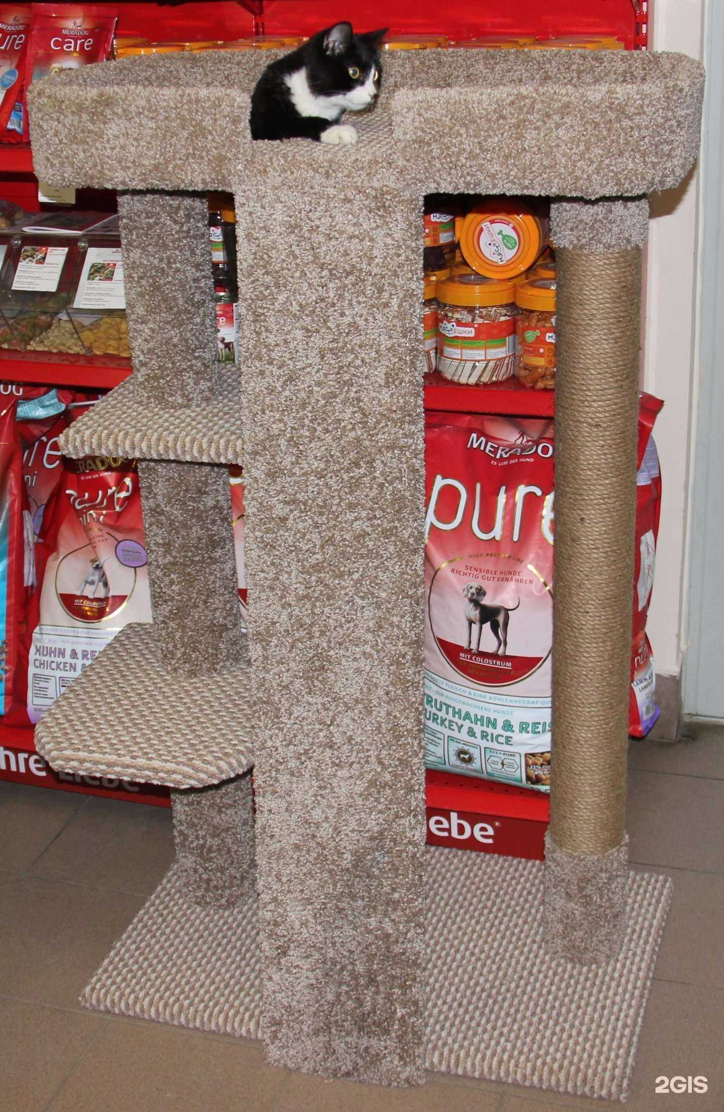 Отзывы на компанию Етк зоо в Екатеринбурге c фото