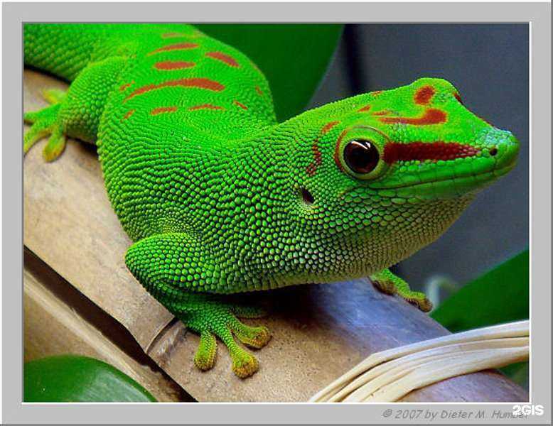 Отзывы на компанию Ноев Ковчег в Набережных Челнах c фото