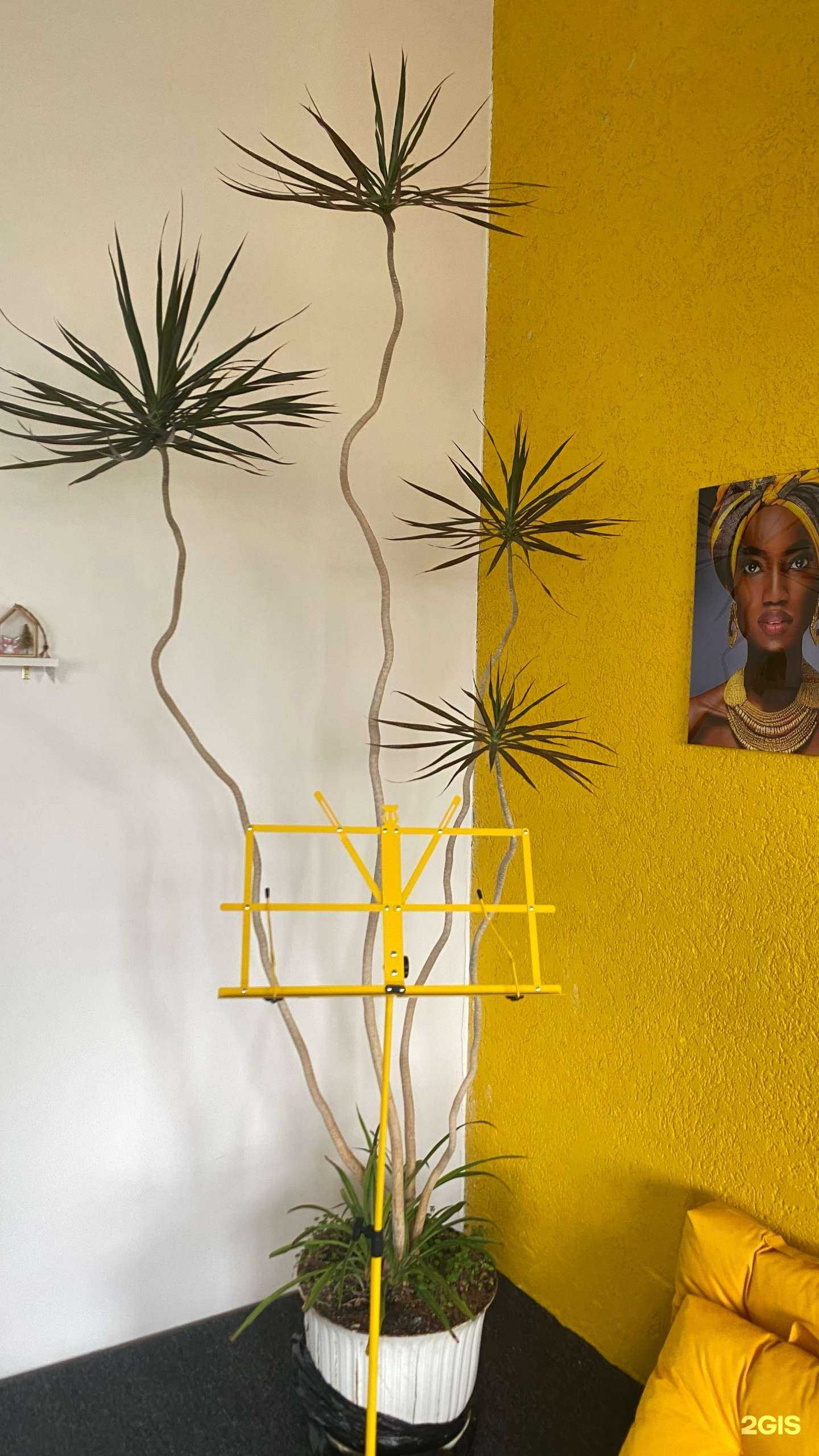 Отзывы на компанию VoynovaVoice в г. Курск c фото