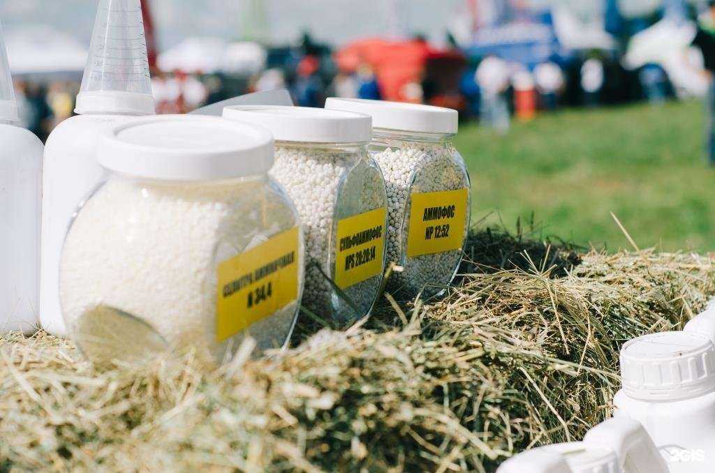 Отзывы на компанию Чакинская нефтебаза в Тамбове c фото