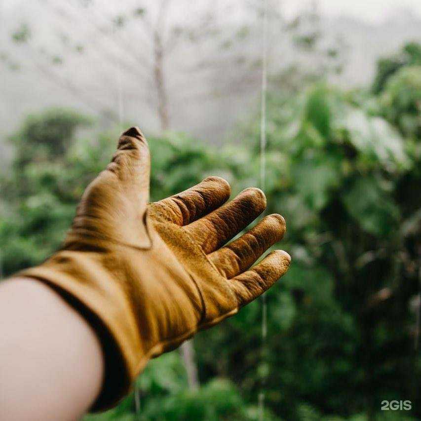 Отзывы на компанию Агровит био в г. Краснодар c фото