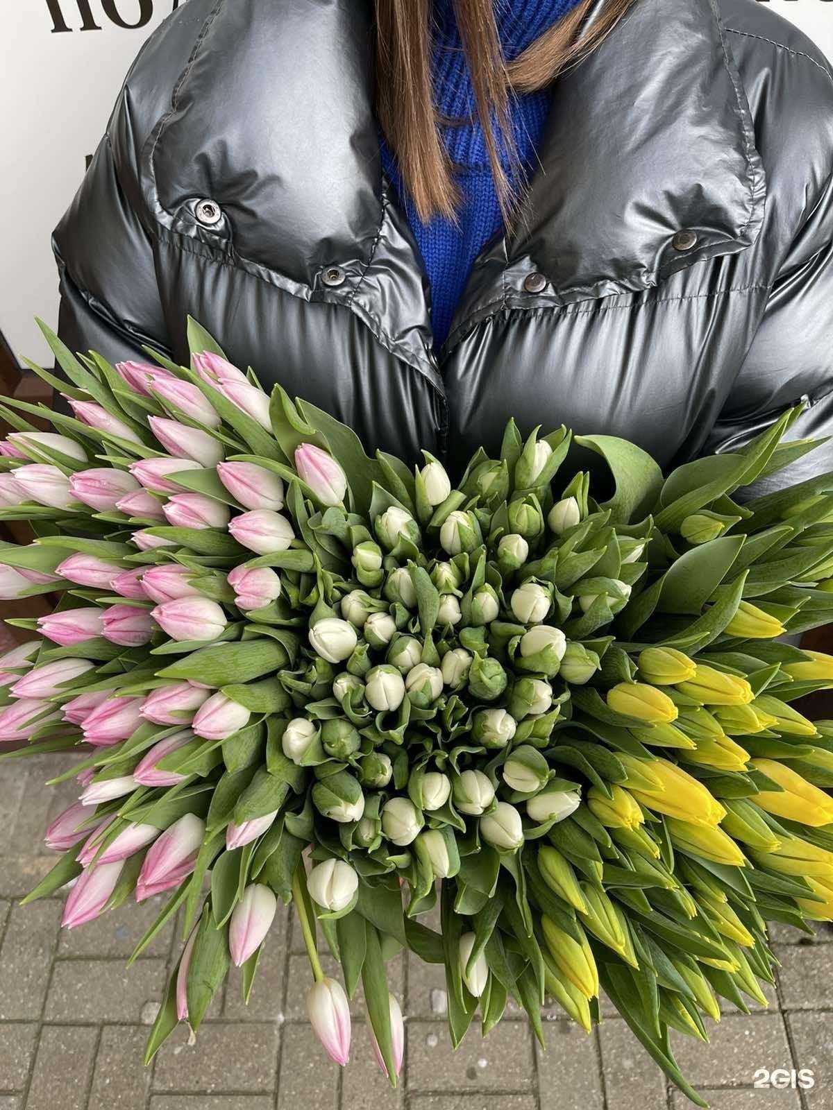 Отзывы на компанию Marffa в Светлогорске c фото