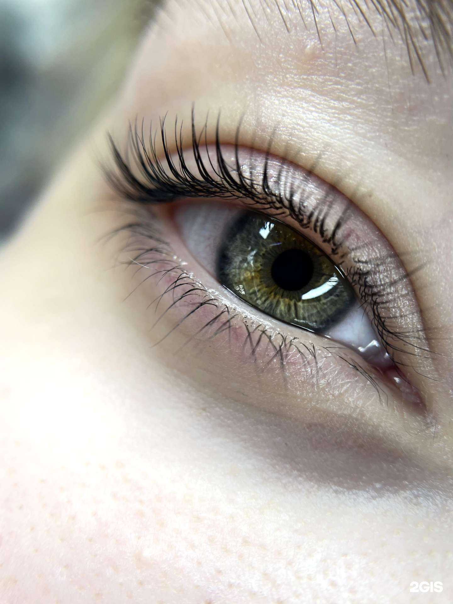 Отзывы на компанию Ar studio в Новосибирске c фото