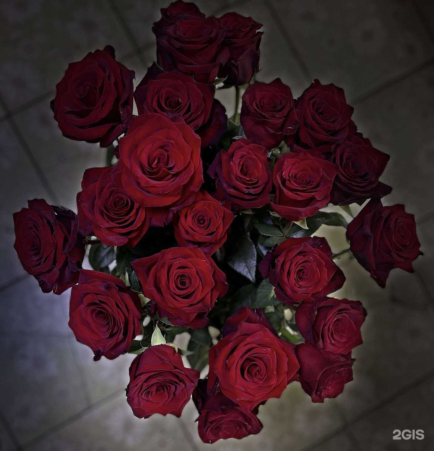 Отзывы на компанию Цветы счастья в Кызыле c фото