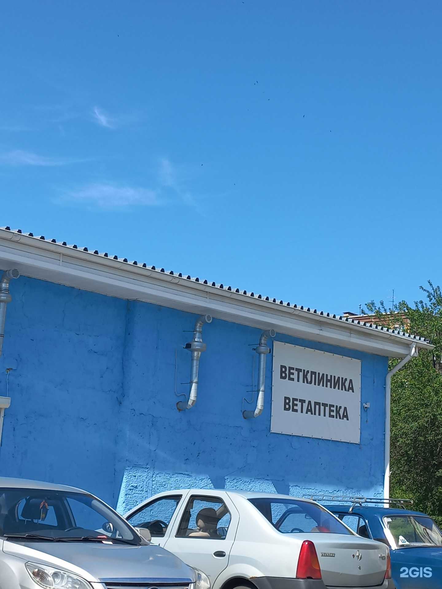 Отзывы на компанию Золотой лев в г. Кемерово c фото