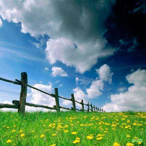 Отзывы на компанию Земли43 в Кирове c фото