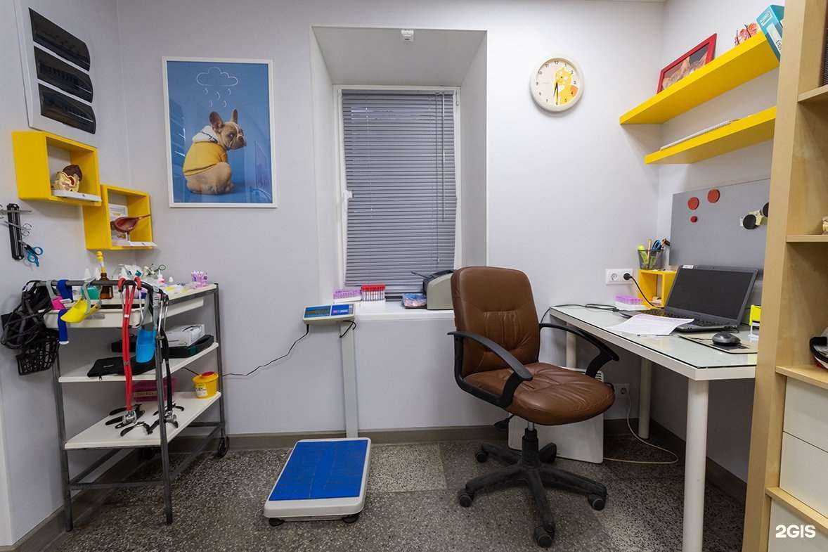 Отзывы на компанию НОС по ВЕТ.ru в г. Петрозаводск c фото